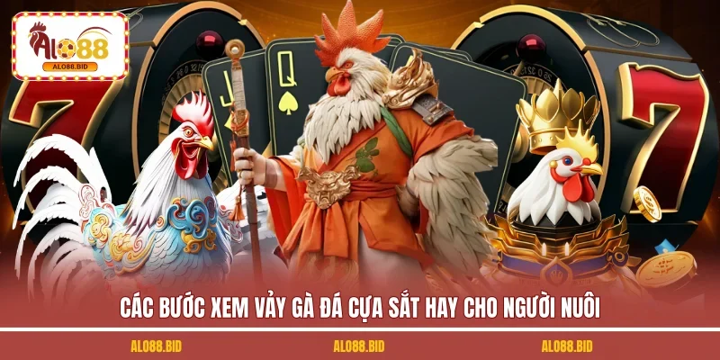 Các bước xem vảy gà đá cựa sắt hay cho người nuôi