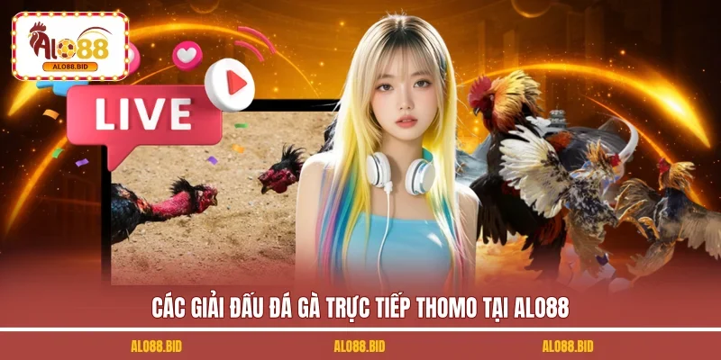 Đá Gà Trực Tiếp Thomo - Mãn Nhãn Cùng 70+ Trận Đấu Mới 2 Các giải đấu đá gà trực tiếp Thomo tại ALO88