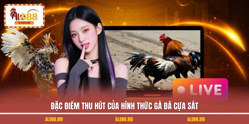 Đặc điểm thu hút của hình thức gà đá cựa sắt