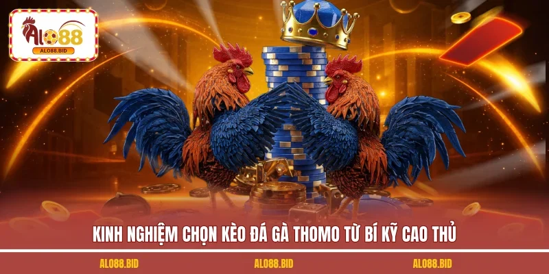Kinh Nghiệm Chọn Kèo Đá Gà Thomo: Bí Kỹ Từ Chuyên Gia 1 Kinh nghiệm chọn kèo đá gà thomo từ bí kỹ cao thủ