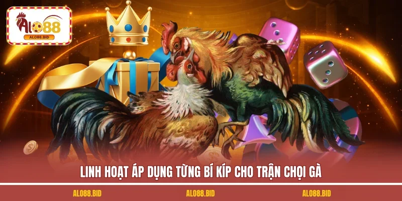 Linh hoạt áp dụng từng bí kíp cho trận chọi gà