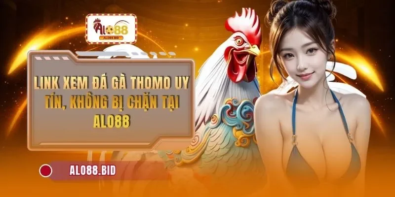 link xem da ga thomo