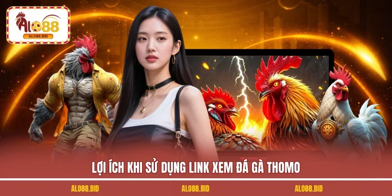 Lợi ích khi sử dụng link xem đá gà Thomo