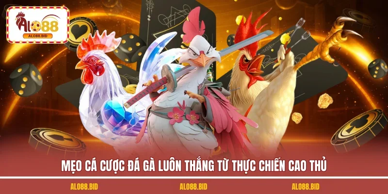 Mẹo cá cược đá gà luôn thắng từ thực chiến cao thủ