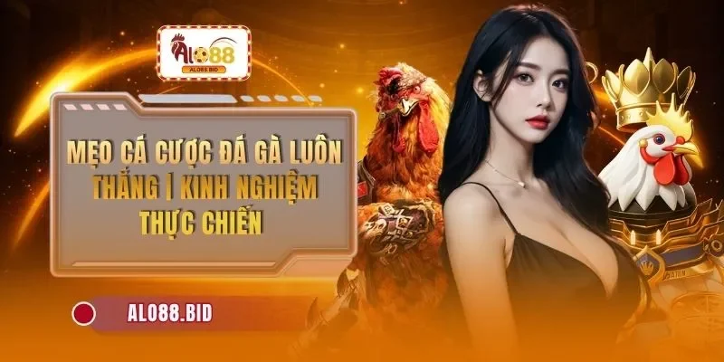 meo ca cuoc da ga luon thang