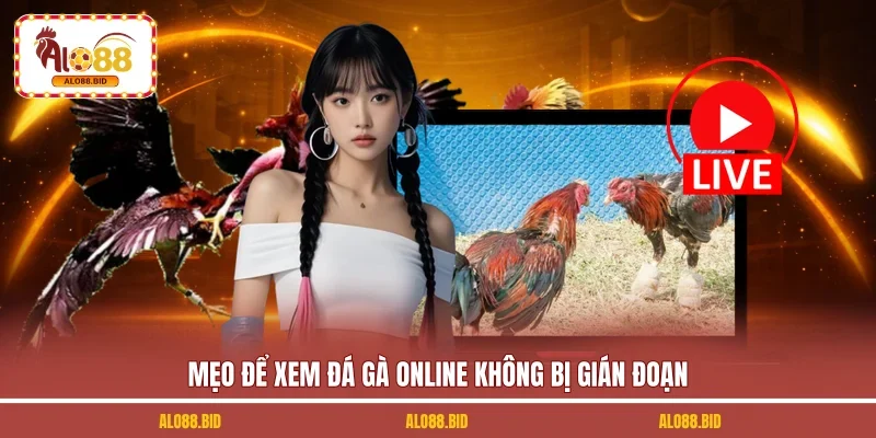 Xem Đá Gà Trực Tuyến - Trải Nghiệm Đỉnh Cao Cùng ALO88 3 Mẹo để xem đá gà online không bị gián đoạn