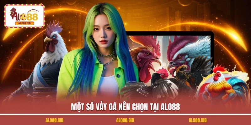 Vảy Gà Đá Cựa ALO88 | Bật Mí Bí Kíp Chọn Kê Chuẩn Nhất 2026 2 Một số vảy gà nên chọn tại ALO88