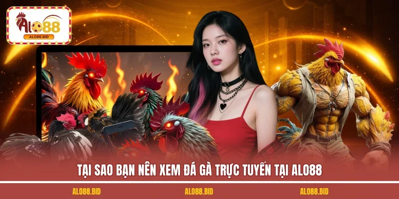 Xem Đá Gà Trực Tuyến - Trải Nghiệm Đỉnh Cao Cùng ALO88 2 Tại sao bạn nên xem đá gà trực tuyến tại ALO88