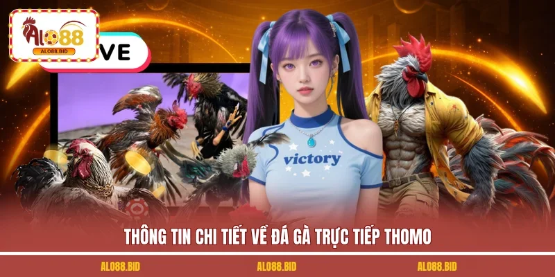 Đá Gà Trực Tiếp Thomo - Mãn Nhãn Cùng 70+ Trận Đấu Mới 1 Thông tin chi tiết về đá gà trực tiếp Thomo