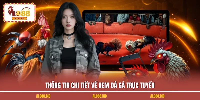 Xem Đá Gà Trực Tuyến - Trải Nghiệm Đỉnh Cao Cùng ALO88 1 Thông tin chi tiết về xem đá gà trực tuyến