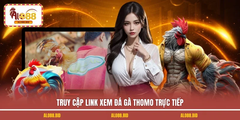 Truy cập link xem đá gà Thomo trực tiếp